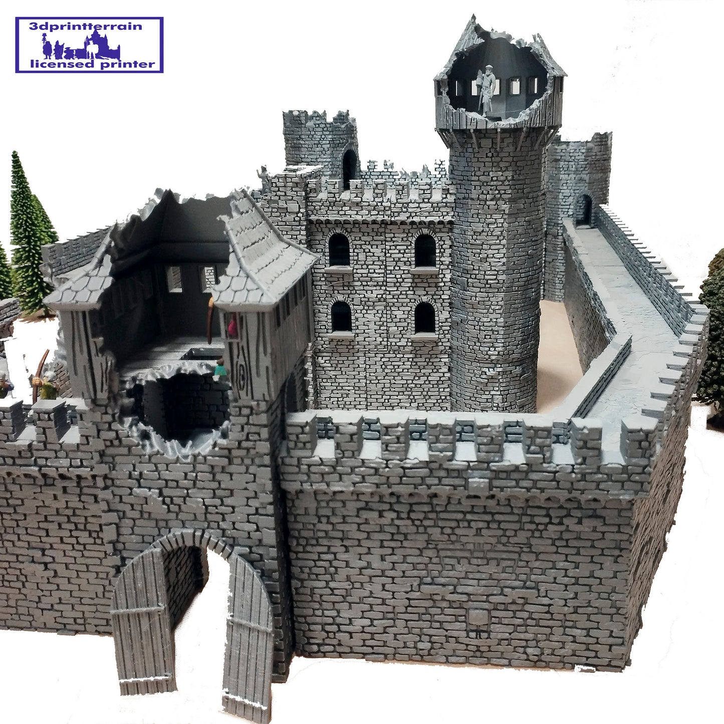 Castle Damaged