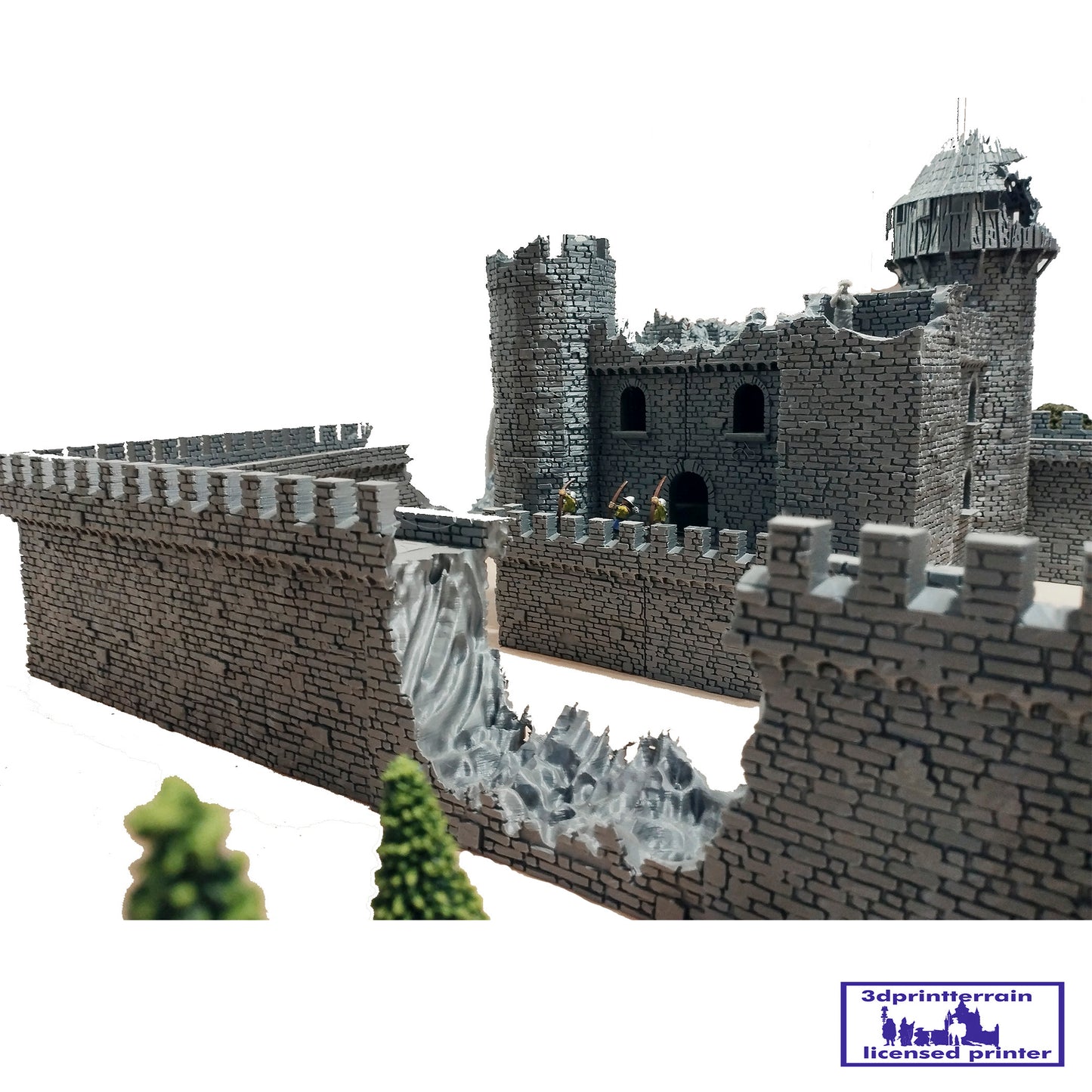 Castle Damaged