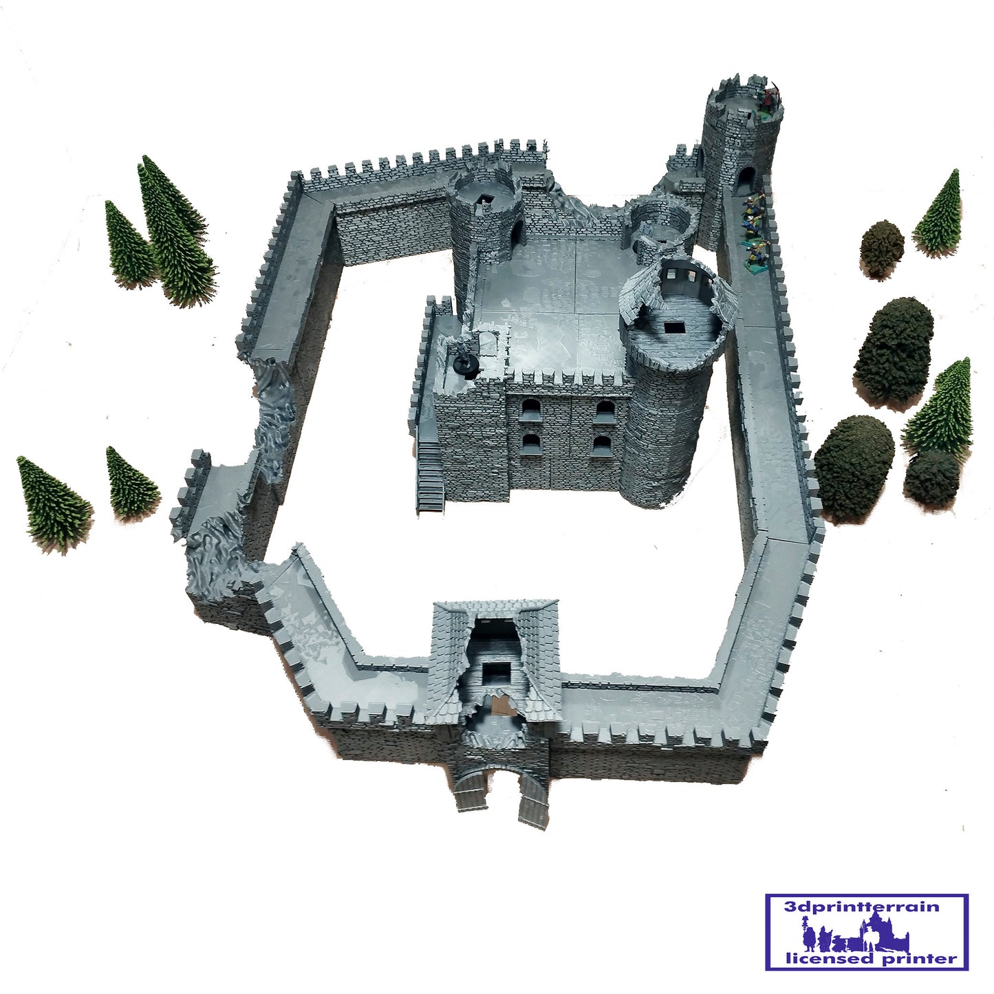 Castle Damaged
