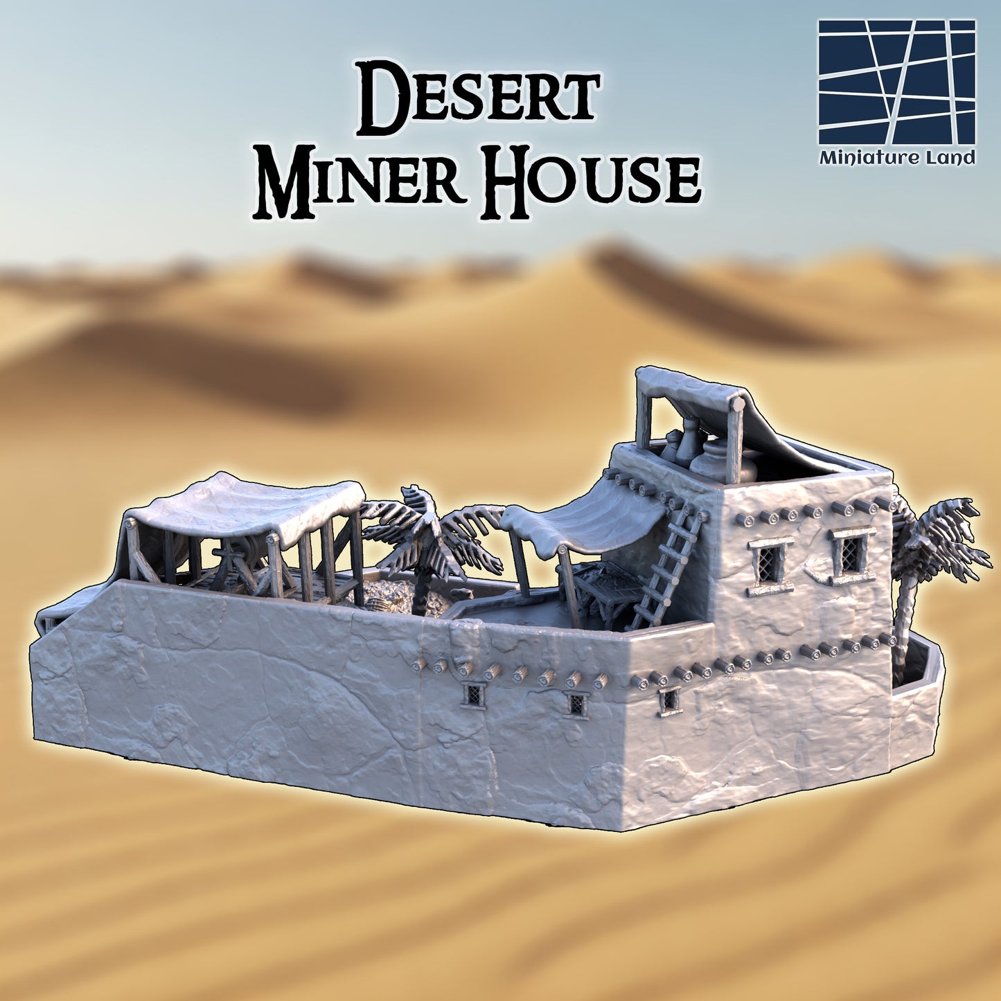 Desert Miner House