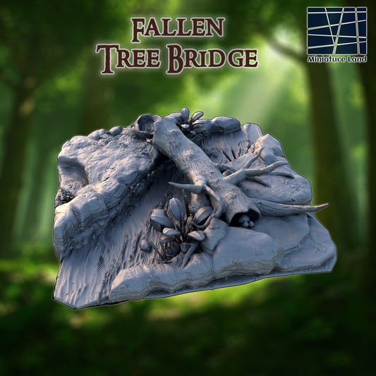 Fallen Tree Bridge