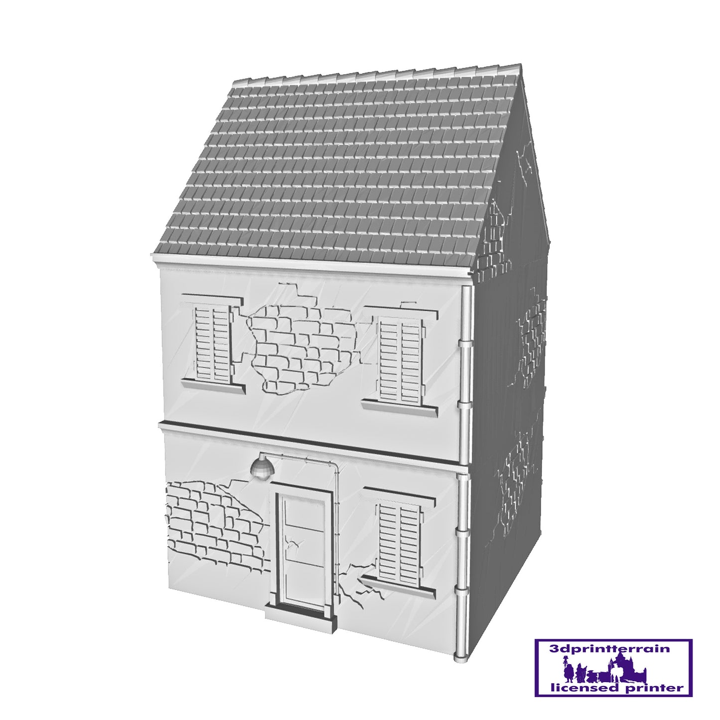 French Town House 3