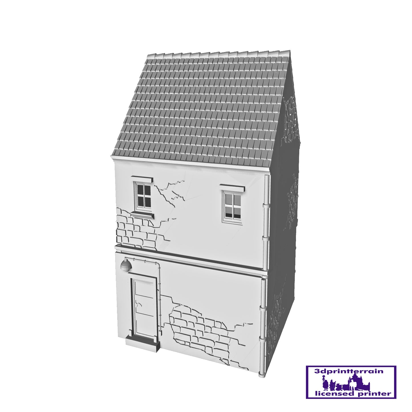 French Town House Shed