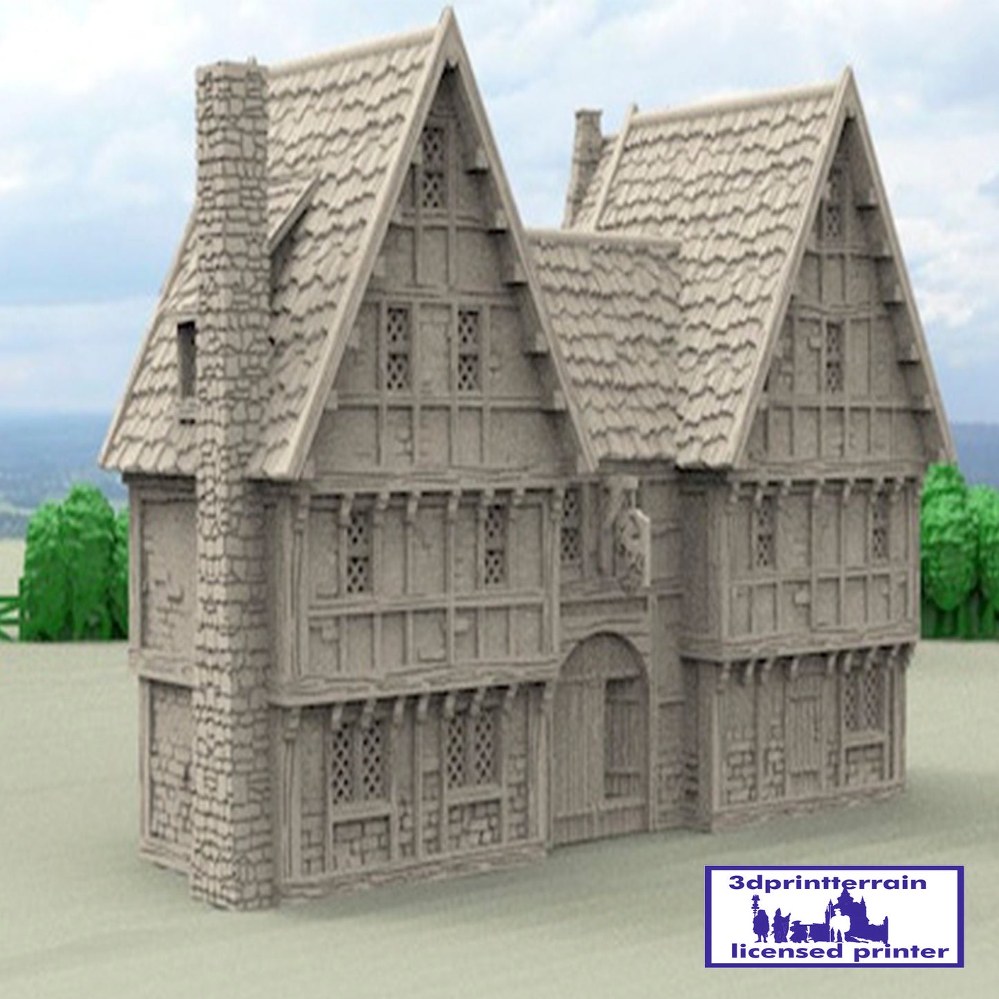 Inn Pony