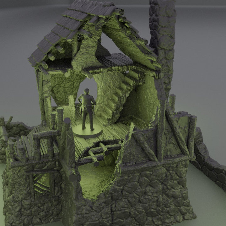 Ruined FarmHouse