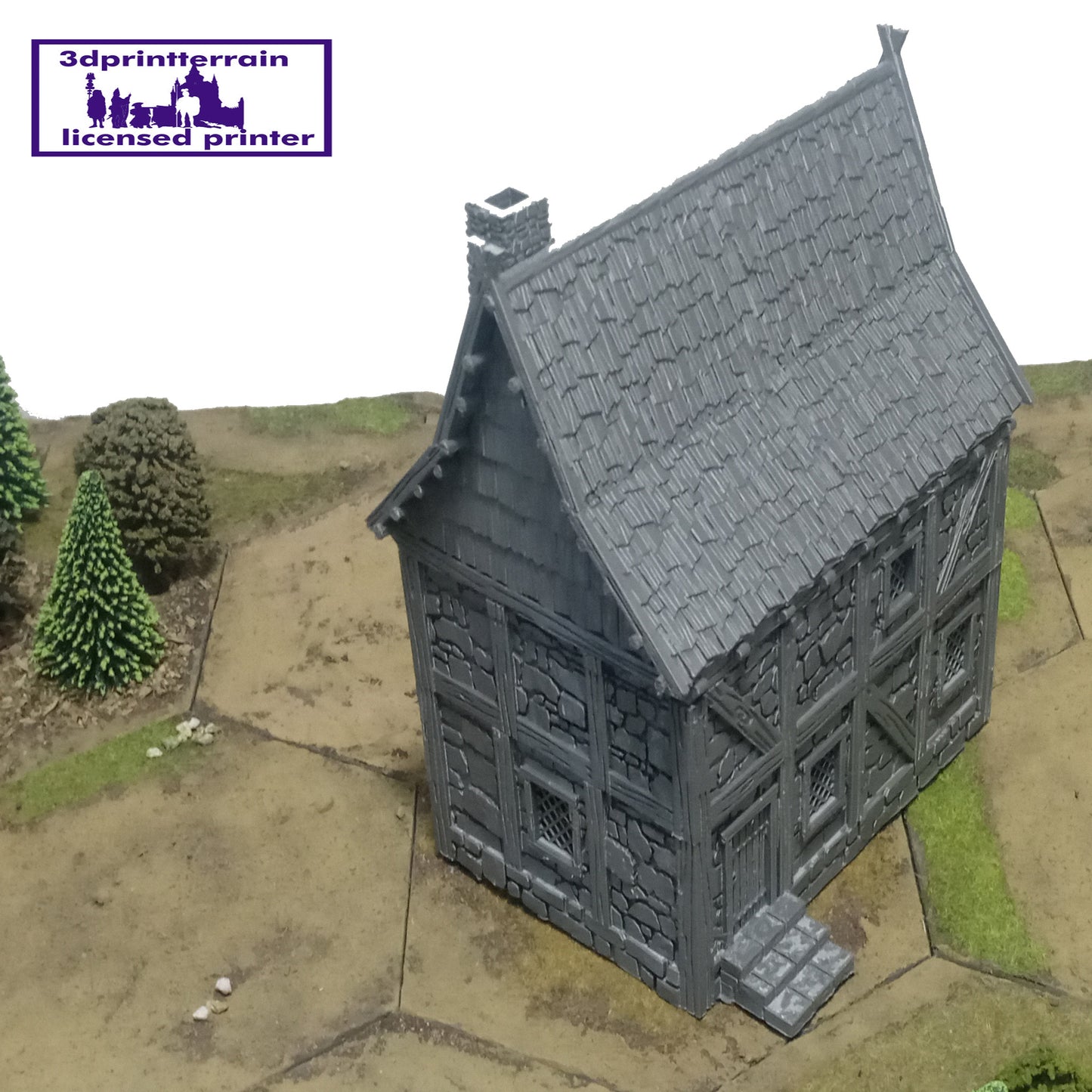 Stone Timbered House 1