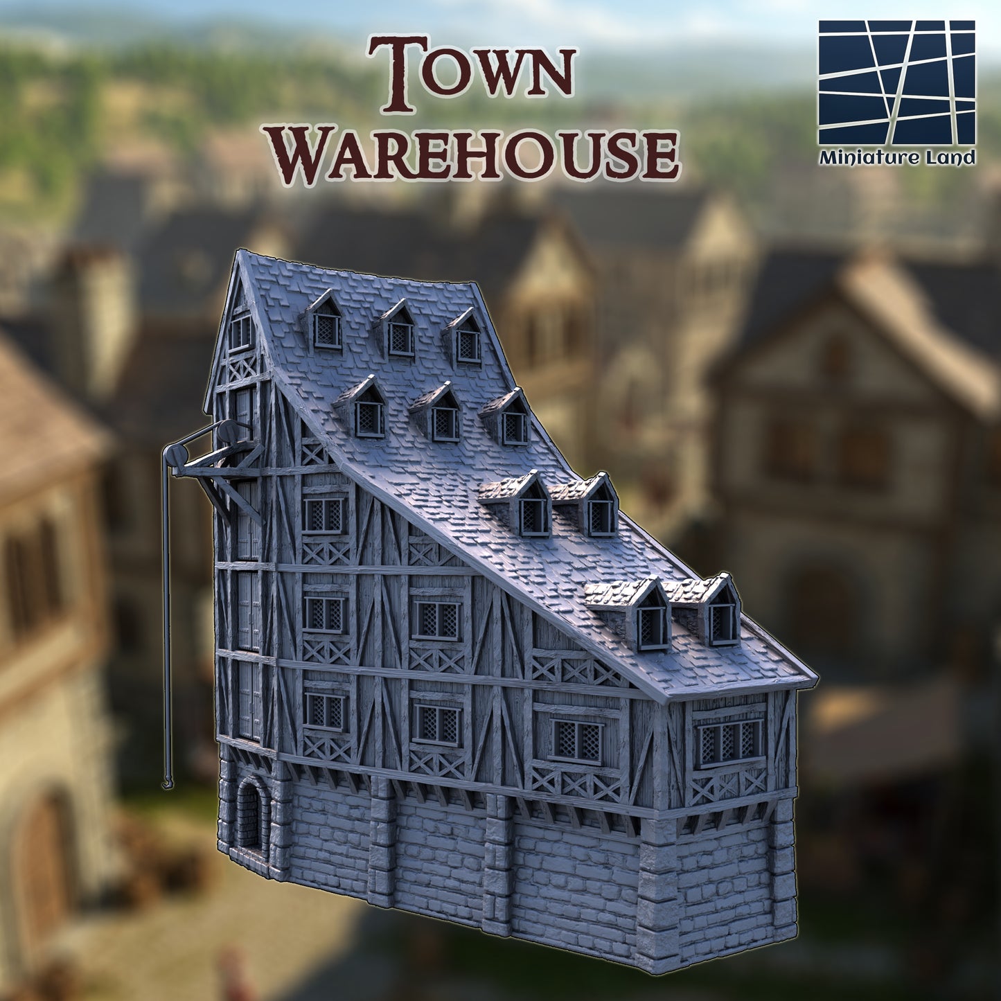 Town Storage House
