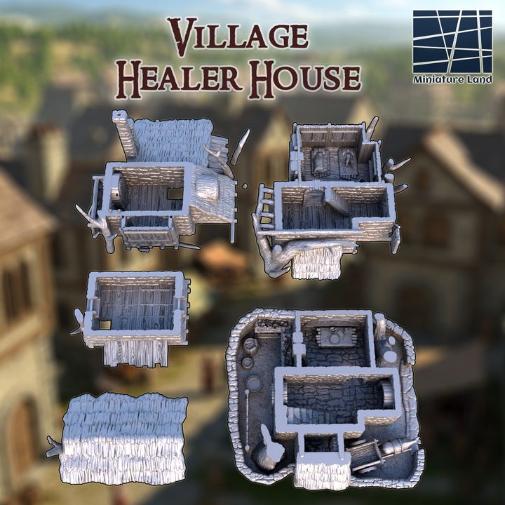 Village Healer House