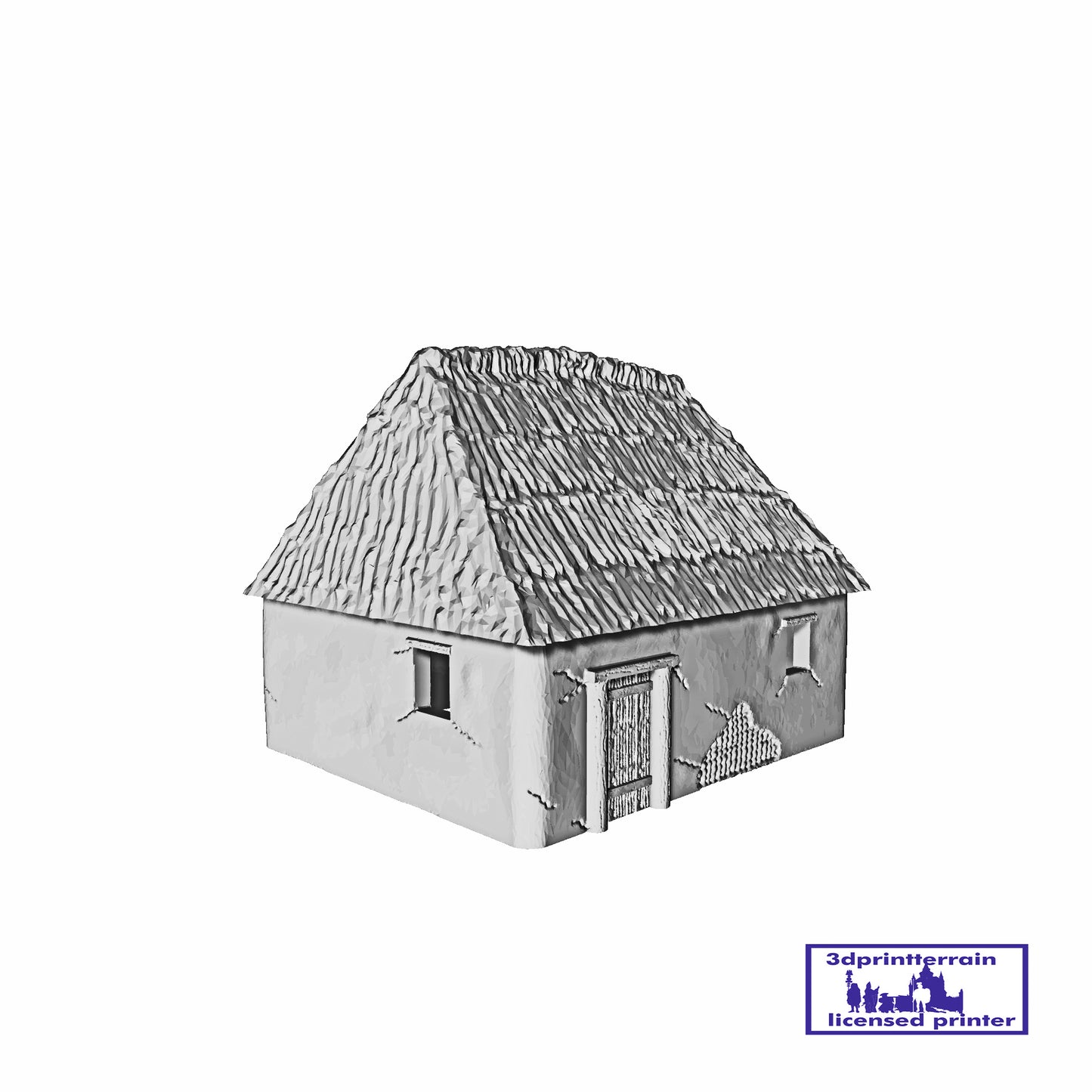 Viking House 1