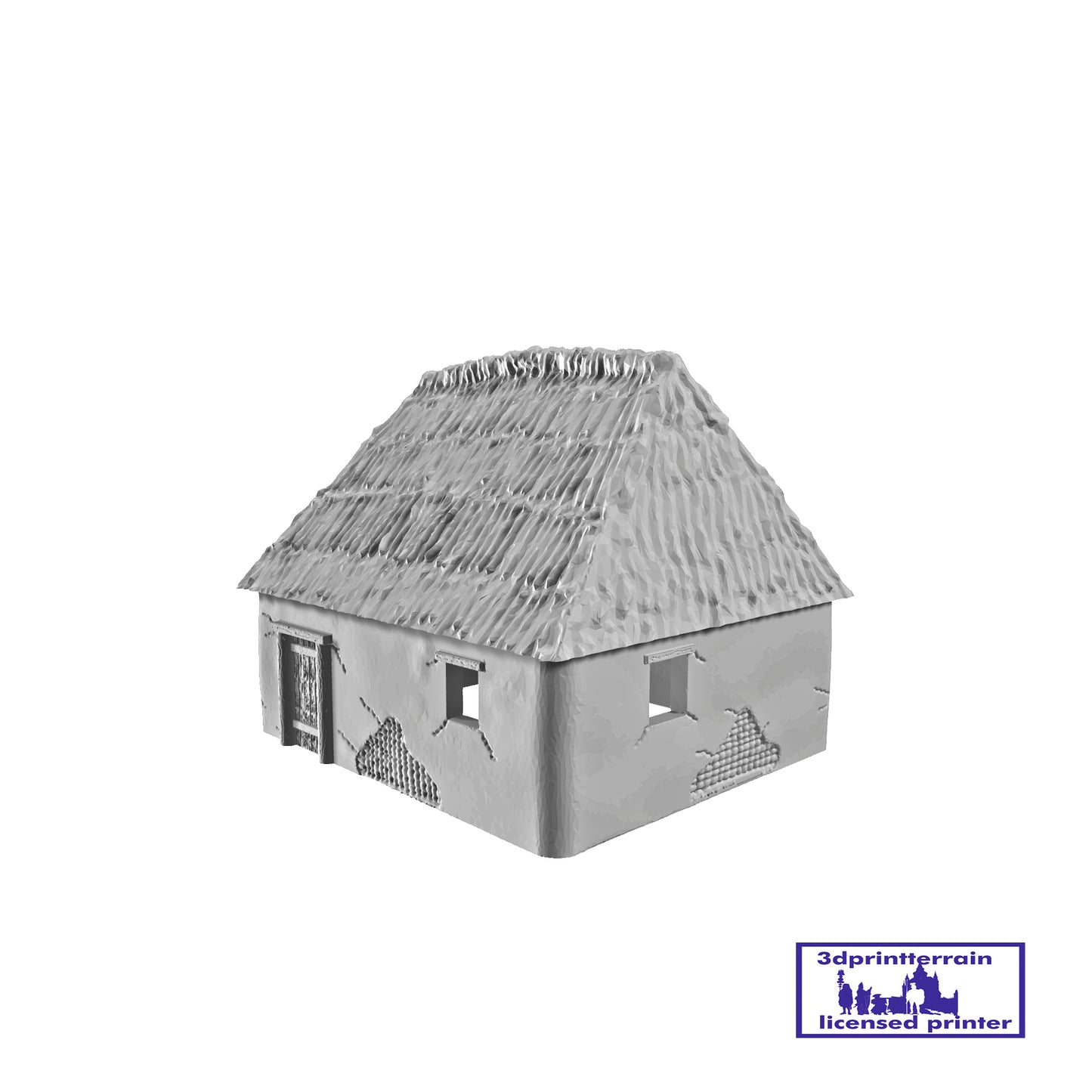Viking House 1