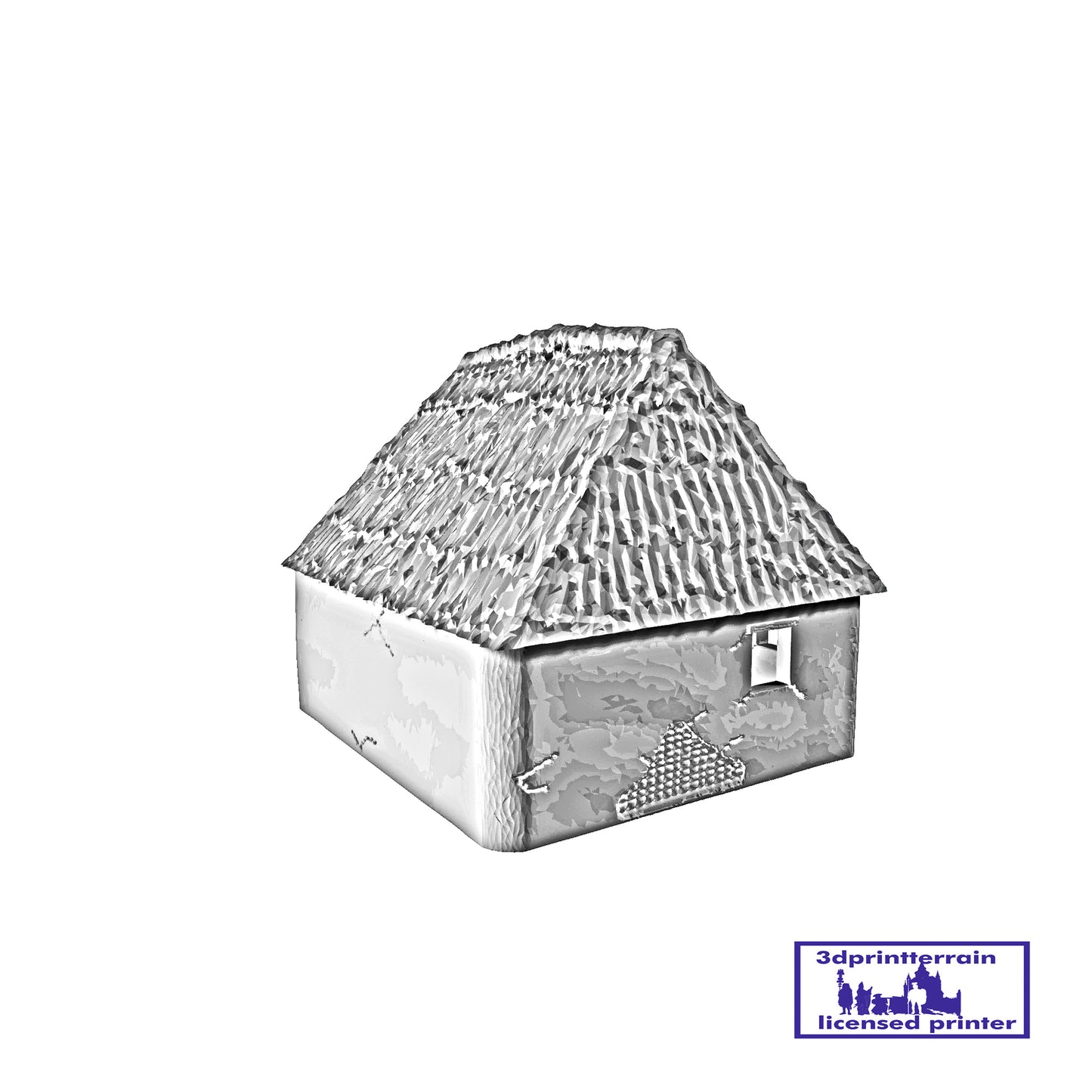 Viking House 4