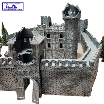 Castle Damaged