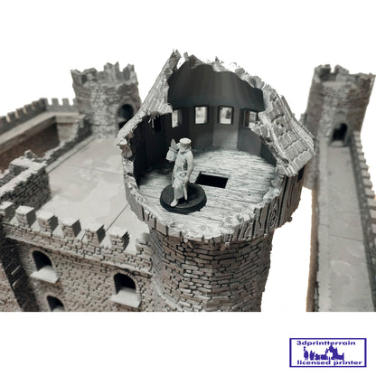 Castle Damaged