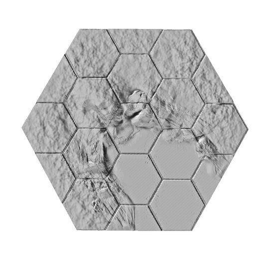 BR05