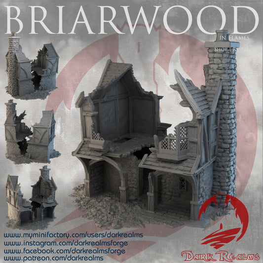 Briarwood Shop 1 Ruins