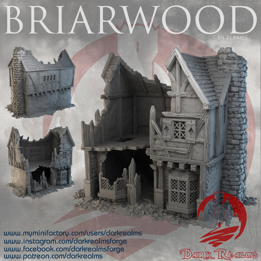 Briarwood Shop 2 Ruins