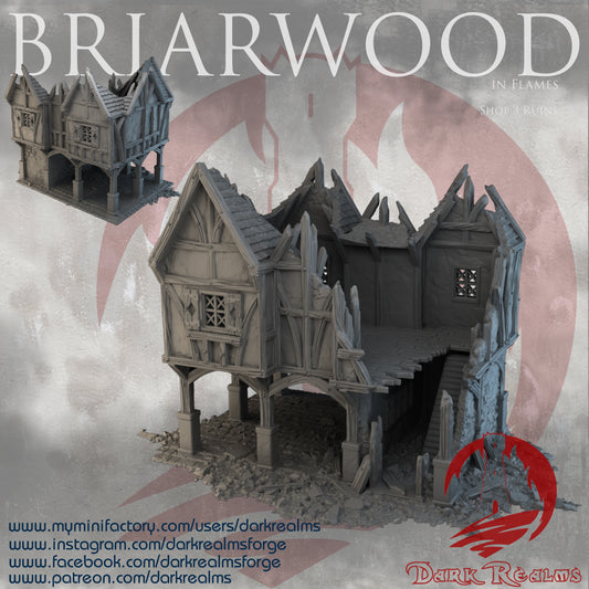 Briarwood Shop 3 Ruins