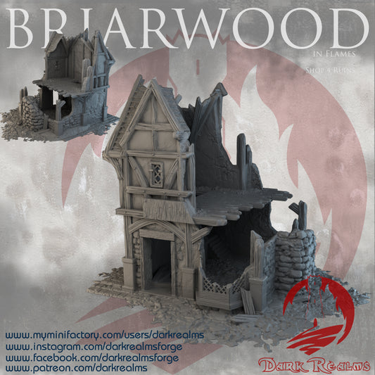 Briarwood Shop 4 Ruins