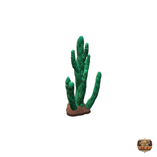 Cactus 2