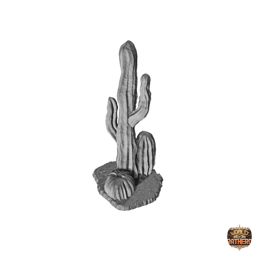 Cactus 6