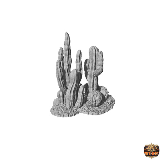 Cactus 7
