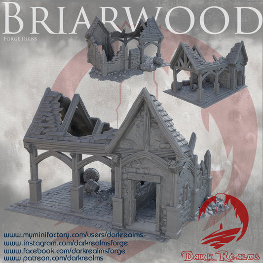 Briarwood Forge Ruin