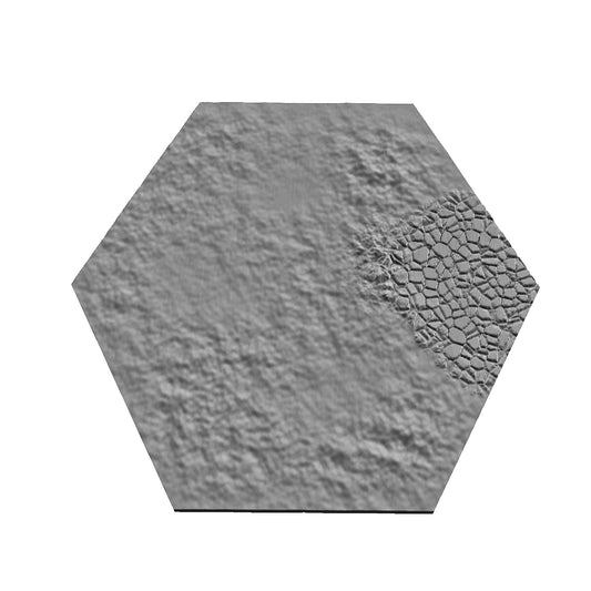 HL01
