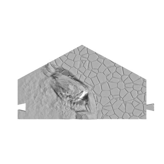 HN08b