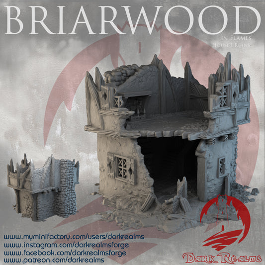 Briarwood House 1 Ruins