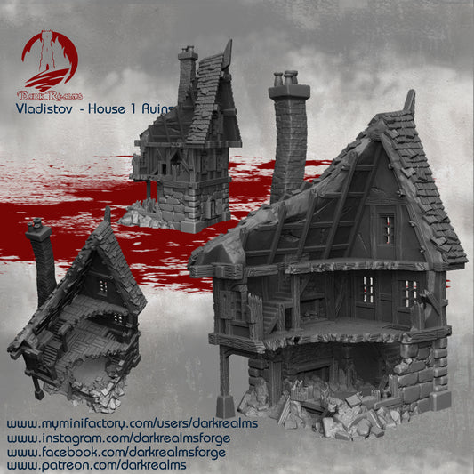 Vladistov House 1 Ruins Transylvania