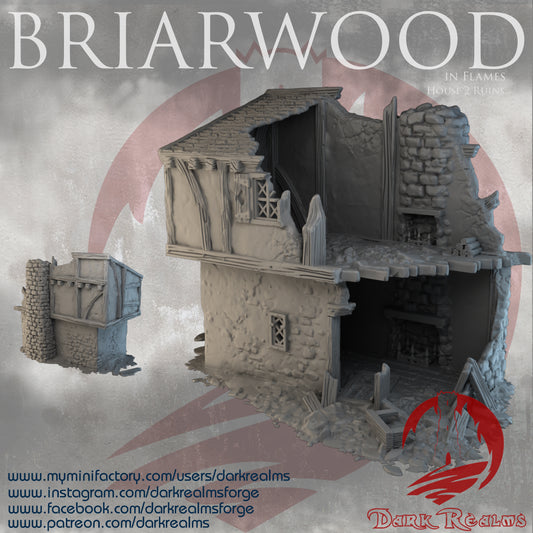 Briarwood House 2 Ruins