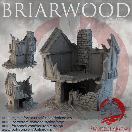 Briarwood House 3 Ruins