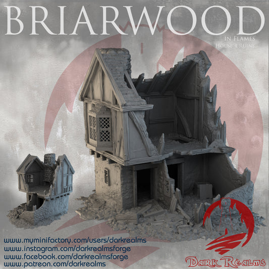 Briarwood House 4 Ruins