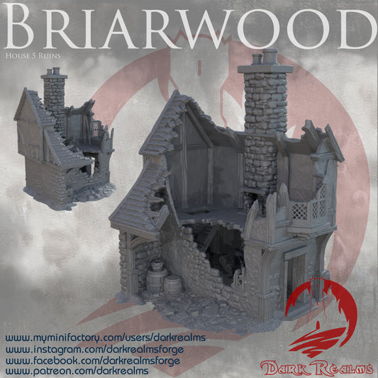 Briarwood House 5 Ruins