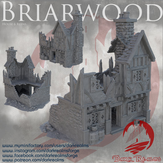 Briarwood House 6 Ruins