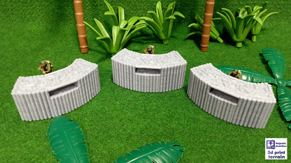 Pacific Wall