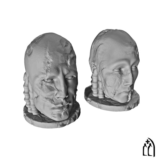 Oregia Alien Heads