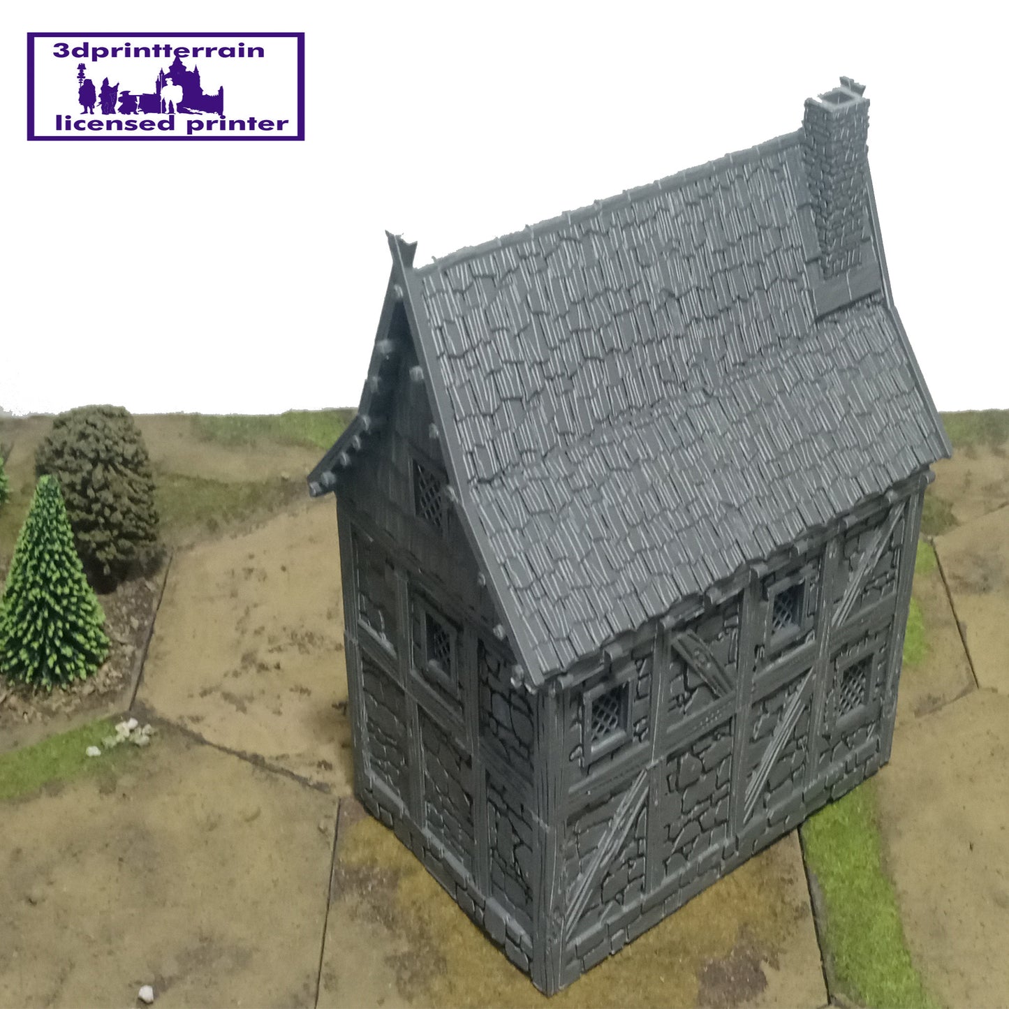 Stone Timbered House 1