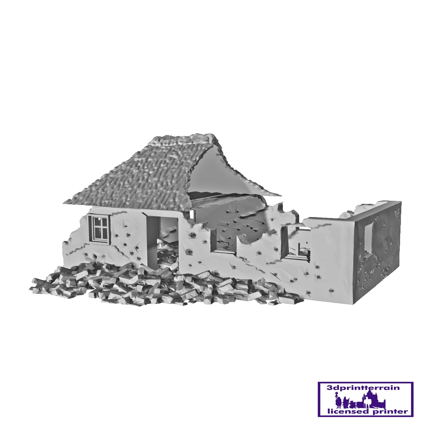 Thatched House Destroyed