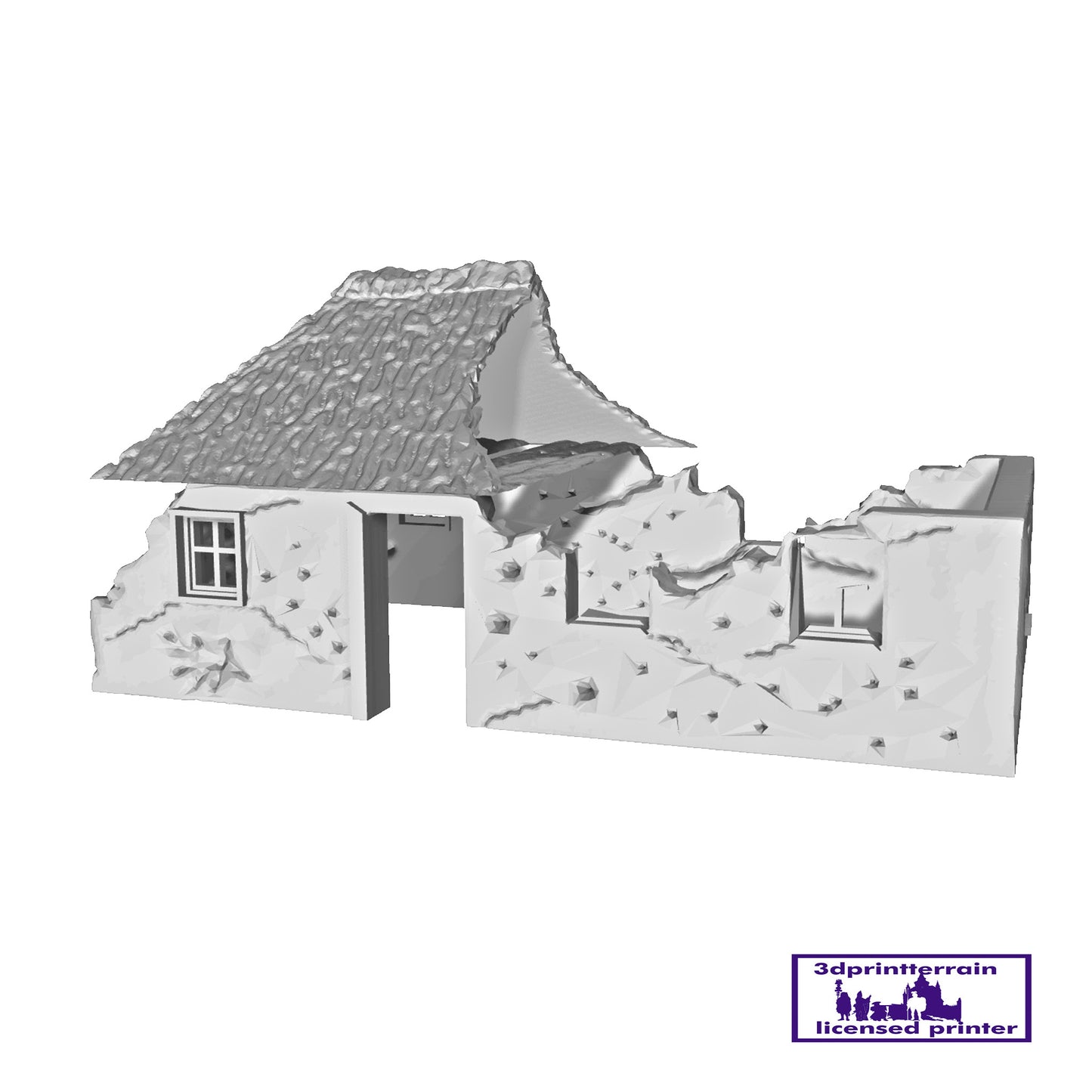 Thatched House Destroyed