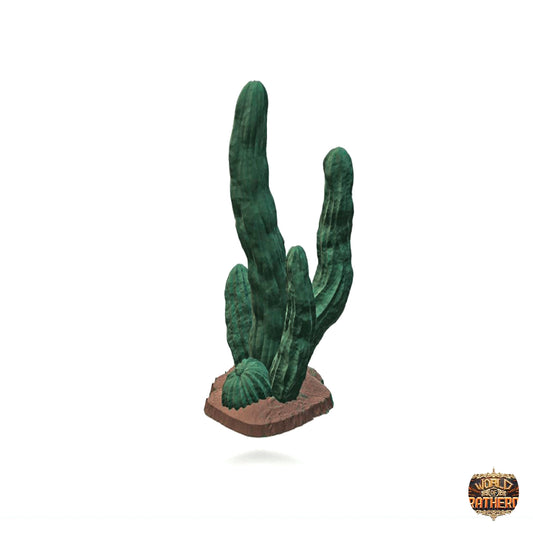 Cactus 3