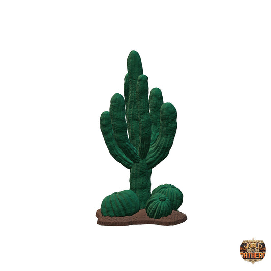 Cactus 4