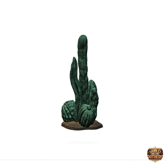Cactus 5
