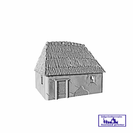 Viking House 1