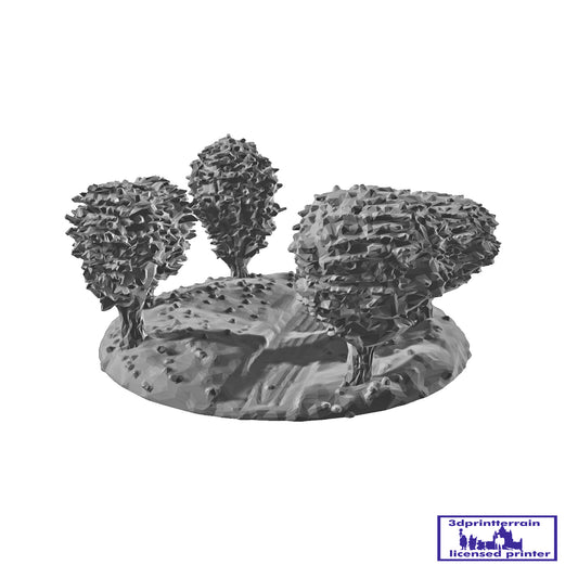 Trees 7
